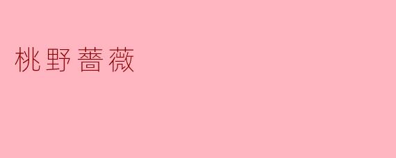 如何理解“桃野薔薇”这个意象？