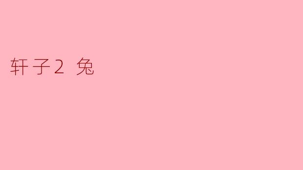 轩子2兔的“2”和“兔”分别代表什么含义？