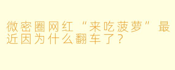 微密圈网红“来吃菠萝”最近因为什么翻车了？