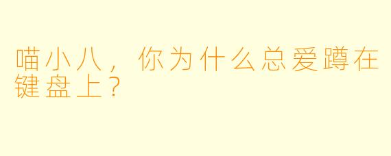 喵小八，你为什么总爱蹲在键盘上？