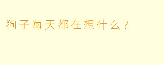 狗子每天都在想什么？