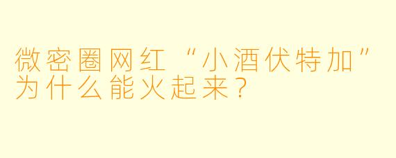 微密圈网红“小酒伏特加”为什么能火起来？